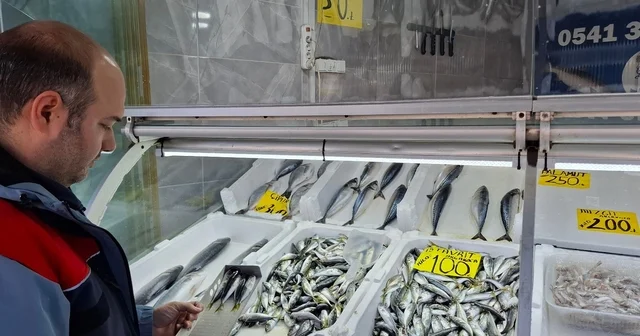 Yasak öncesi balık satış yerleri denetlendi Düzce Haberleri