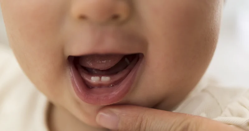 Süt dişleri neden dökülmeden önce bu kadar önemli bir görev üstleniyor?