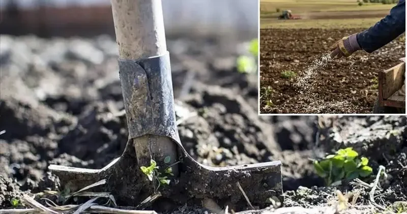 İran savaşı sonrası Türkiye’de 10 yıllık yasak kalktı: 81 ile genelge gönderildi Ekonomi Haberleri