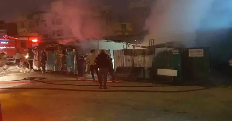 Çiftlik alevlere teslim oldu