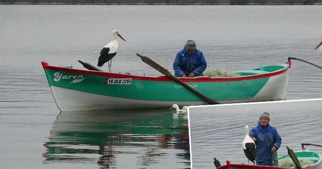 Adem Yılmaz ile Yaren leylekten yeni görüntü: İlk kayık buluşması gerçekleşti! Onu evladım gibi seviyorum