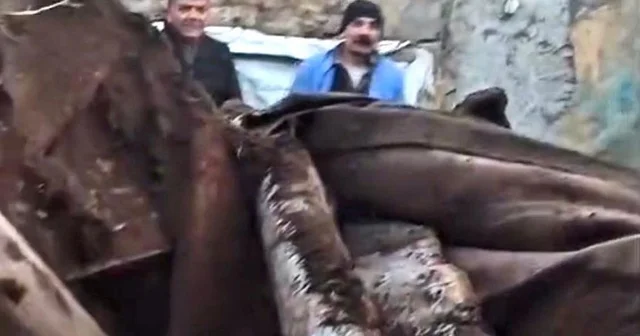 Kars ta ahır çöktü, çoban son anda kurtuldu Kars Haberleri