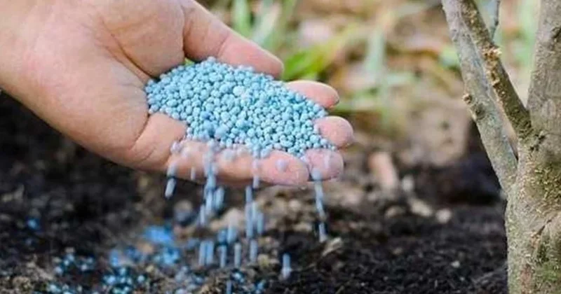 Bakanlık 81 ile yazı gönderdi! 10 yıl önce yasaklanan ürün tekrar satılacak Sözcü Gazetesi