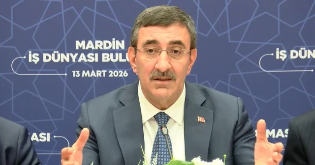 Cumhurbaşkanı Yardımcısı Yılmaz: Türkiye Yüzyılı nda teröre, şiddete yer yok Mardin Haberleri