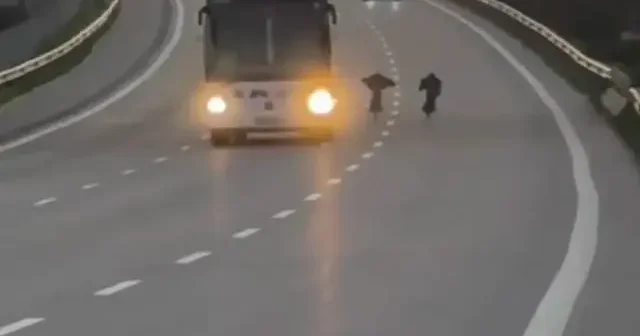 Sosyal medyada paylaşılan yarış pahalıya patladı: 430 bin TL ceza VİDEO İZLE