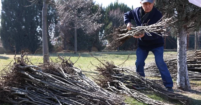 Başkan Altay: 23 bin 500 adet fidanı çiftçimize ulaştıracağız Konya Haberleri