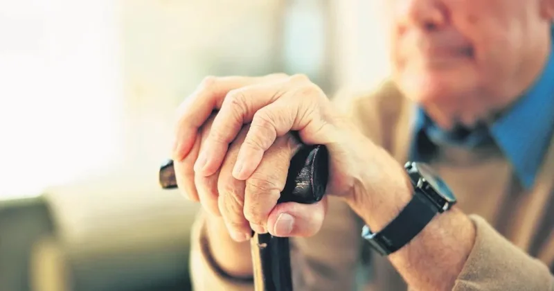 Asırlık çınarların sayısı 10 bini aştı