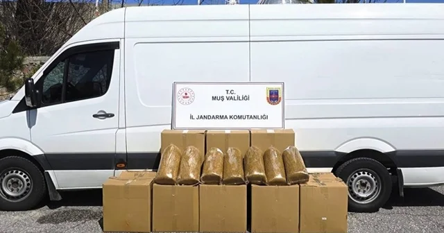 Muş ta 260 kilogram bandrolsüz tütün ele geçirildi Muş Haberleri