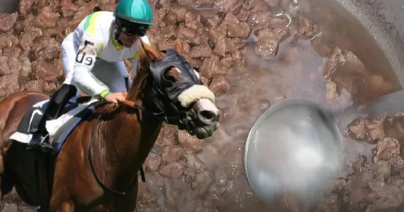 Kavurma yapılan şampiyon atın sahibinden bomba açıklamalar Sözcü Gazetesi