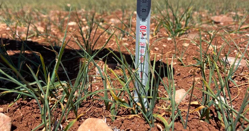 Türkiye’de 10 yıllık yasak İran savaşıyla kaldırıldı