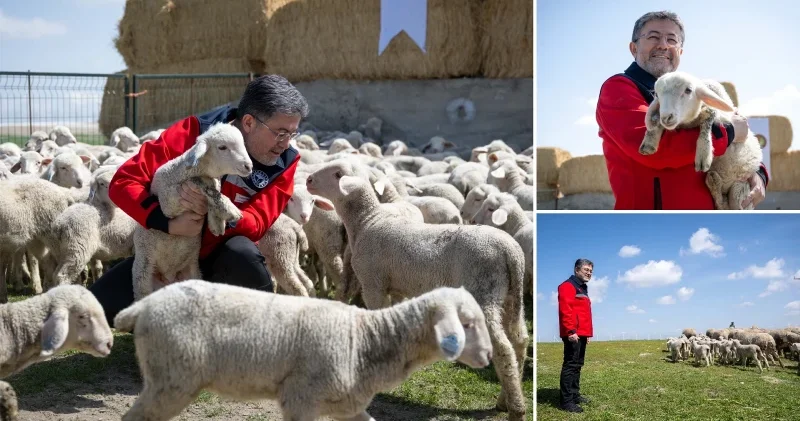 100 küçükbaş hayvan desteğine başvurular 30 Nisan da sona erecek: Yıllık 180 bin lira destekte bulunacağız Türkiye Ekonomisi Haberleri