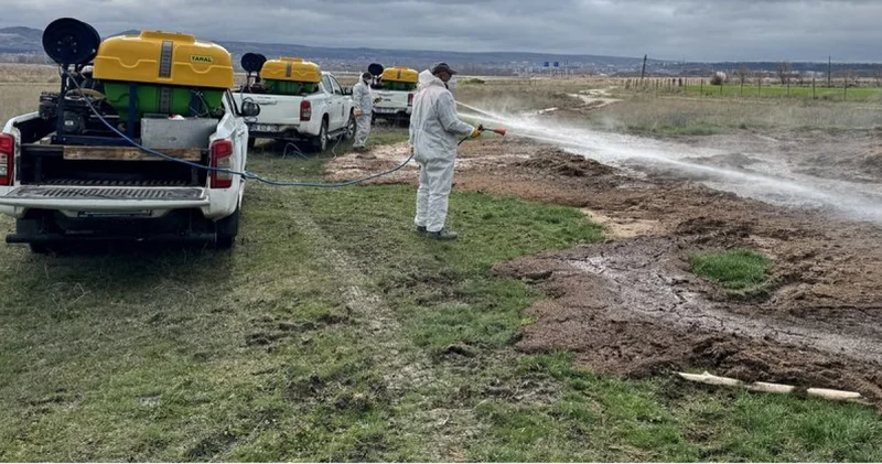 SON DAKİKA: İstanbul Valiliği nden karasinek, sivrisinek ve kene genelgesi Son dakika haberleri