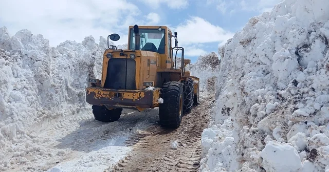 Bingöl de metrelerce karla mücadele Bingöl Haberleri