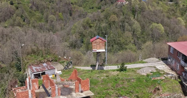 Çocukluk hayalini 25 yıl sonra gerçekleştirdi; 7 metre yüksekliğe ağaç ev yaptı Rize Haberleri