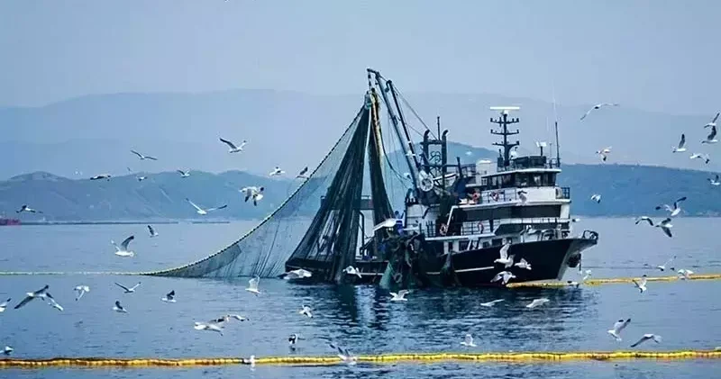 Denizlerde av yasağı 15 Nisan da başlıyor