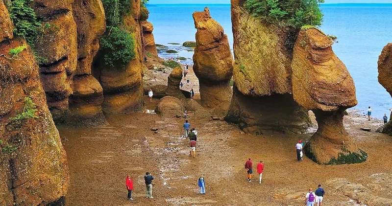 Okyanusun ortasında bir yol açılıyor: Saniyeler içinde araçla adaya geçiyorlar