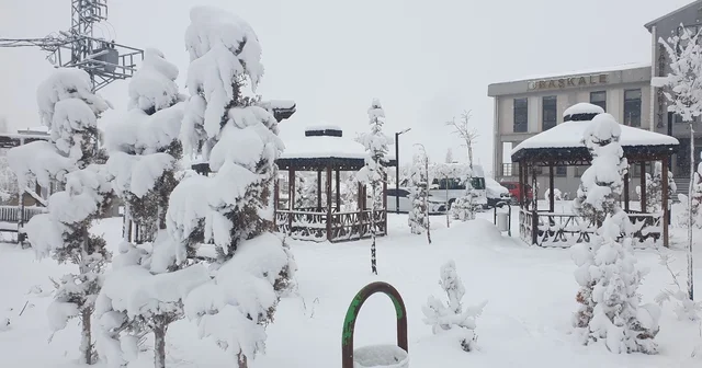 Başkale de kar yağışı Van Haberleri