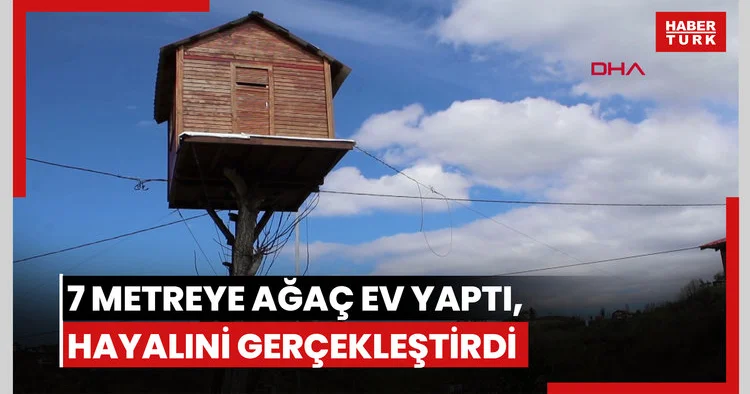 7 metre yüksekliğe ağaç ev yaptı, hayali gerçek oldu