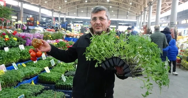 Tüketici artık kendi üretmeyi tercih ediyor Pandemi ve deprem sonrası tohum ve fide satışları arttı, tüketici artık kendi yediği sebzeleri kendisi üretiyor Sivas Haberleri