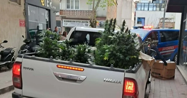 Apartman dairesinde uyuşturucu yetiştiren şüpheli yakalandı Çanakkale Haberleri