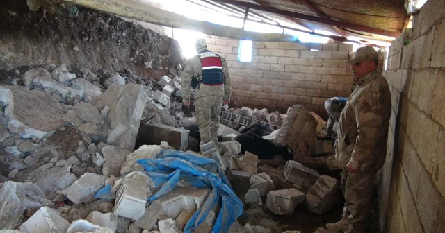 Kilis te ahır çöktü; 40 koyun öldü Kilis Haberleri