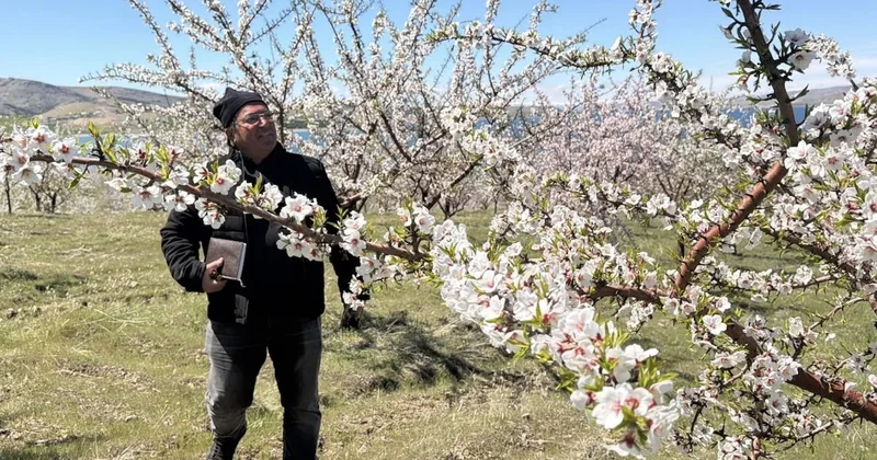 Yıllarca boş kalan atıl arazi şimdi para basıyor! Komşu köyler de harekete geçti Sözcü Gazetesi