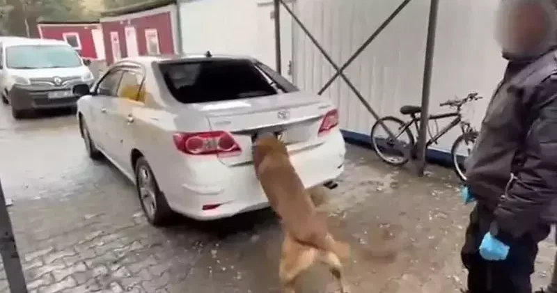 Diyarbakır da 6 kilo kokain ele geçirildi; 1 tutuklama