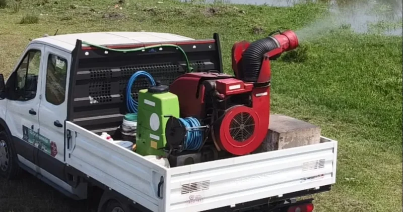 İstanbullulara karasinek ve sivrisinek uyarısı Sözcü Gazetesi