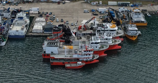 Balık av sezonu biterken, balıkçılar sezonu değerlendirdi Karadeniz de balıkçılar sezondan memnun: Hamsi ve istavrit bolluğu yaşandı Trabzon Haberleri