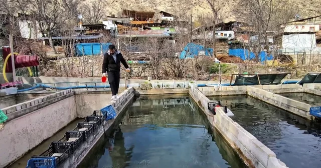 300 bin balık telef oldu; Genç girişimci ayakta kalma mücadelesi veriyor Erzurum Haberleri