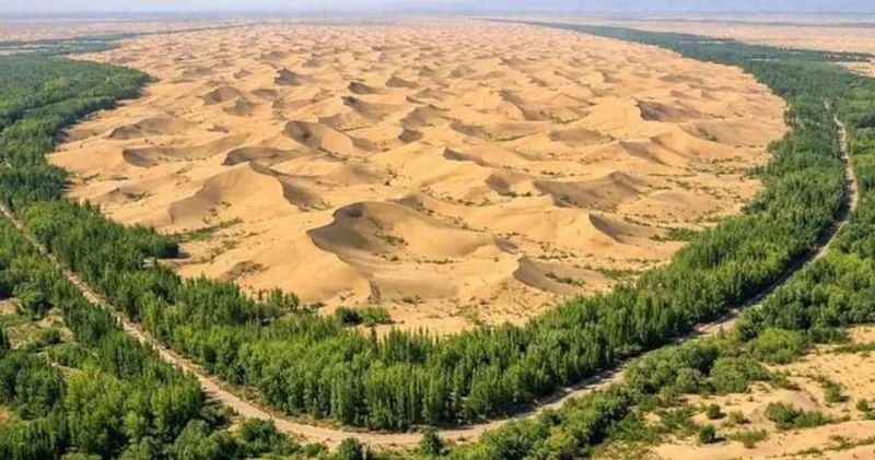 Çölün kaderi değişt