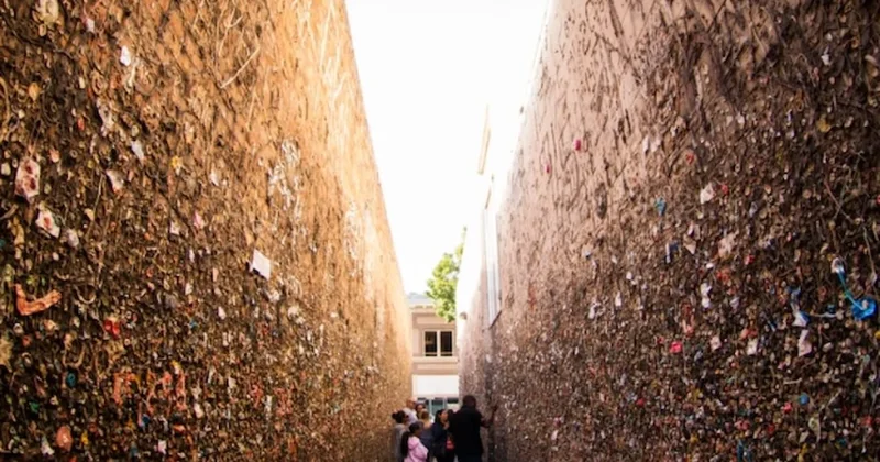 Midenize güvenmeyin: Bu sokak binlerce insanın ağzından çıktı Sözcü Gazetesi