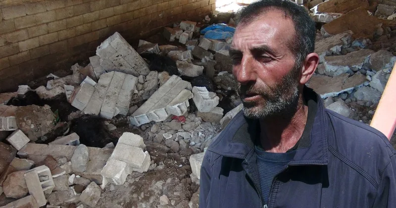 Gece ses duyup ahıra koşan çiftçinin dünyası başına yıkıldı