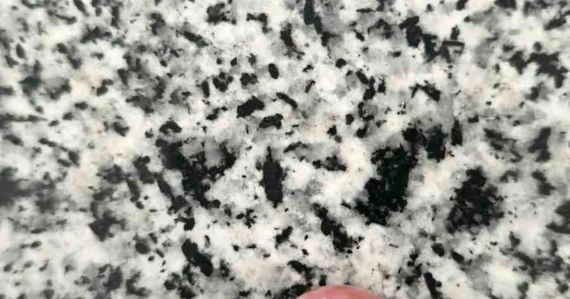 Şekerin içinden taş çıktı