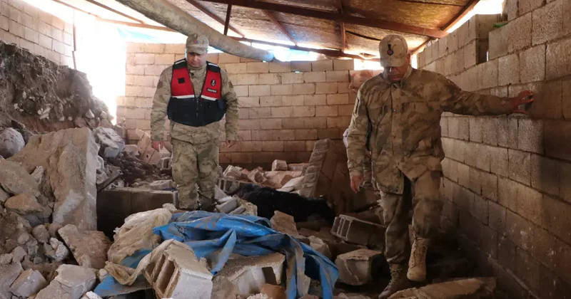 Kilis te facia! 40 küçükbaş telef oldu