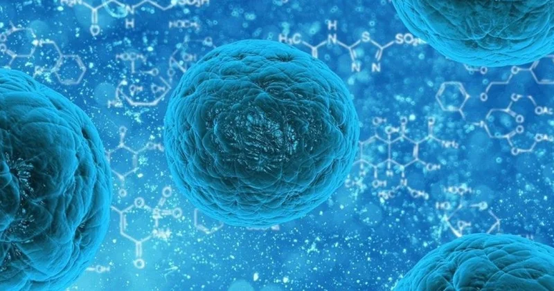 Son dakika: Norovirüs nedir, nasıl bulaşır, belirtileri nelerdir? Norovirüsten korunmak için neler yapılmalıdır?