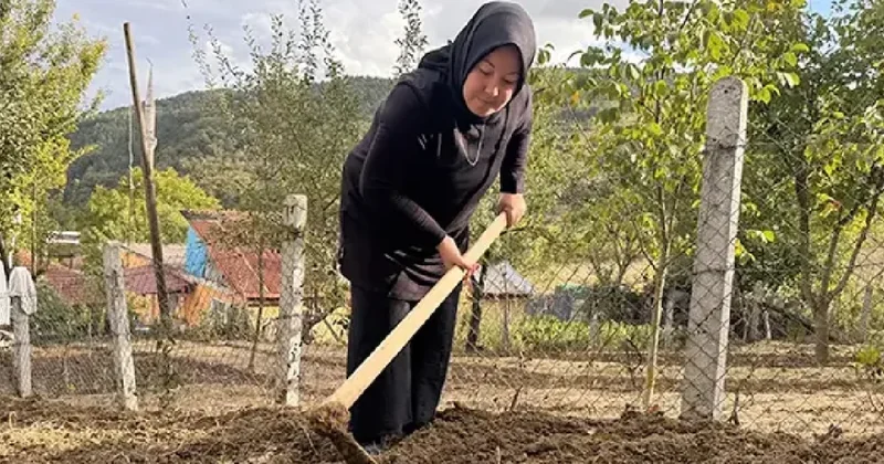 Gördüğü çiçek hayatını değiştirdi: Özel izinle ekti, 3 dönümde 600 kilo üretti Sözcü Gazetesi