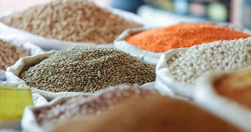 Türkiye nin hububat ihracatı ilk dört ayda 3,9 milyar dolara ulaştı