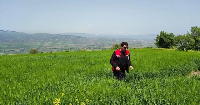 Göynücek te referans parsel ve ürün doğrulama çalışmaları tamamlandı Amasya Haberleri