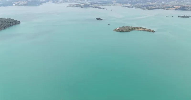 Yıllardır böylesi görülmedi! Bölge insanı çok mutlu