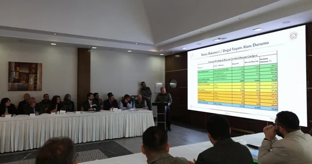 Samsun da hayvan barınağı olmayan ilçeler Samsun Haberleri