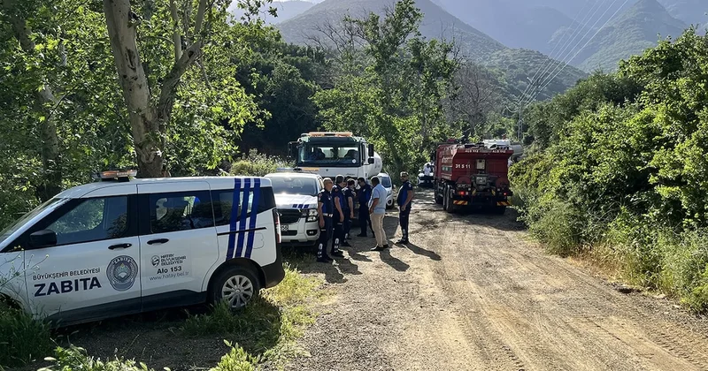 Hatay Kırıkhan da orman yangını Sözcü Gazetesi