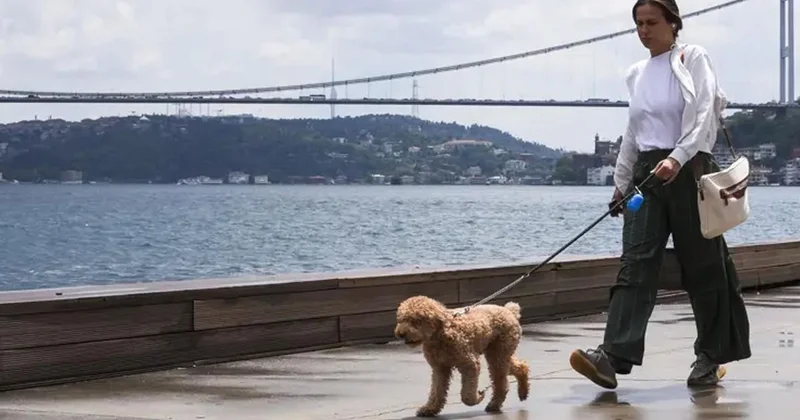 Dolu, sağanak, hortum! 5 gün Türkiye yi esir alacak