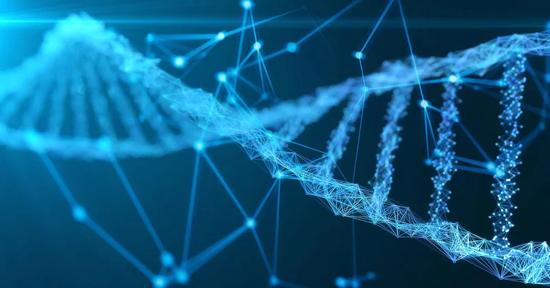 180 yıldır kayıp olan denizcilerin kimlikleri DNA ile belirlendi