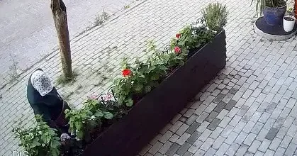 Avcılar da iş yerinin önünde yetiştirilen çiçekleri söküp çaldı: Sabahın köründe şafak operasyonu gibi