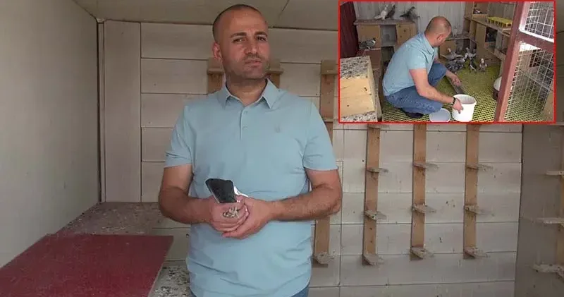 Sanal medya bağımlılığından güvercinler sayesinde kurtuldu