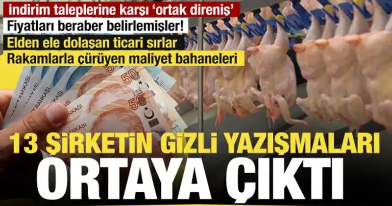 Beyaz et karteline operasyon: Kayyum atanan 13 şirketin gizli yazışmaları raporlarda!