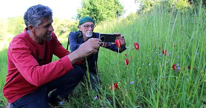 130 Yıl Sonra Yitik Lale Bulundu