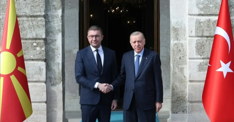 Erdoğan, Kuzey Makedonya Başbakanı Mickoski yi kabul etti