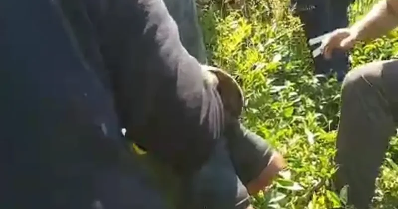 Kiraz toplamak için çıktığı ağaçtan düştü